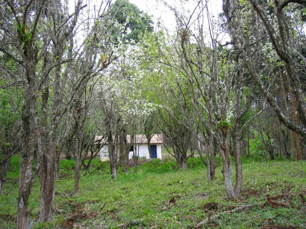 Pousada Candeias Cunha Exterior photo