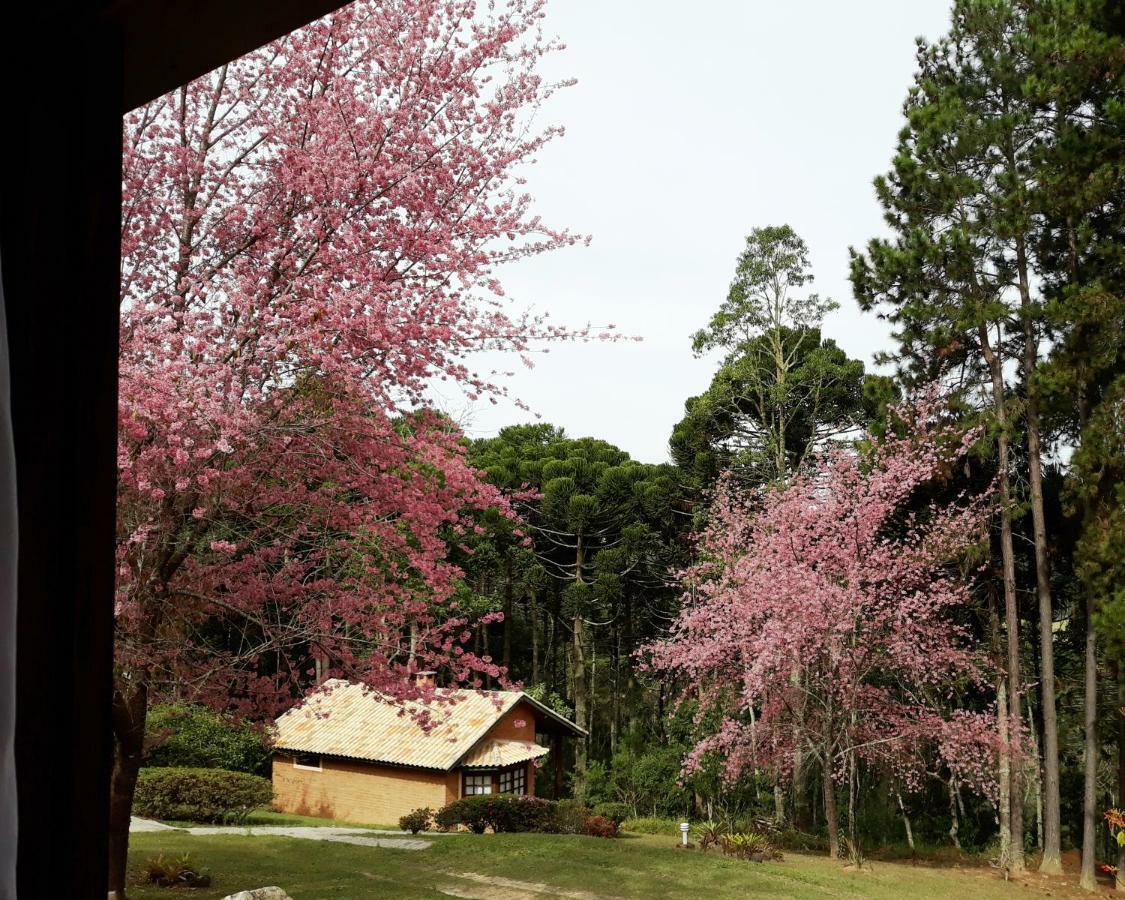 Pousada Candeias Cunha Exterior photo